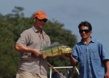 amazon brazil peacock bass fishing